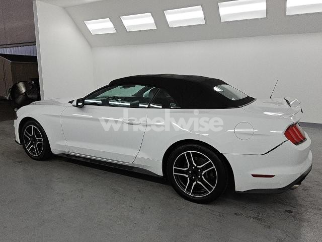 Photo 7 of 2023 FORD MUSTANG (VIN 1FATP8UH4P5104050)