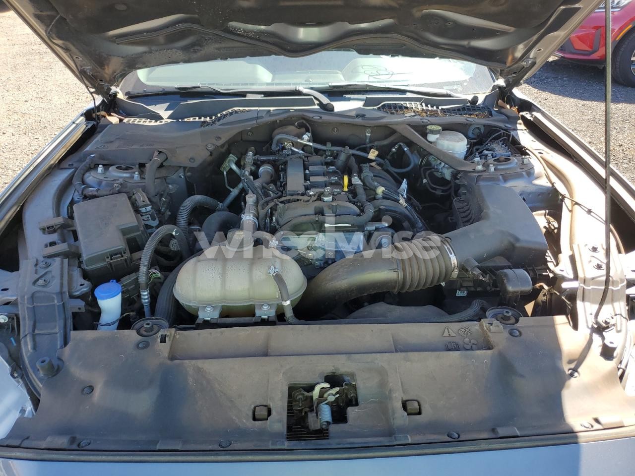 Photo 11 of 2023 FORD MUSTANG (VIN 1FATP8UH4P5111306)