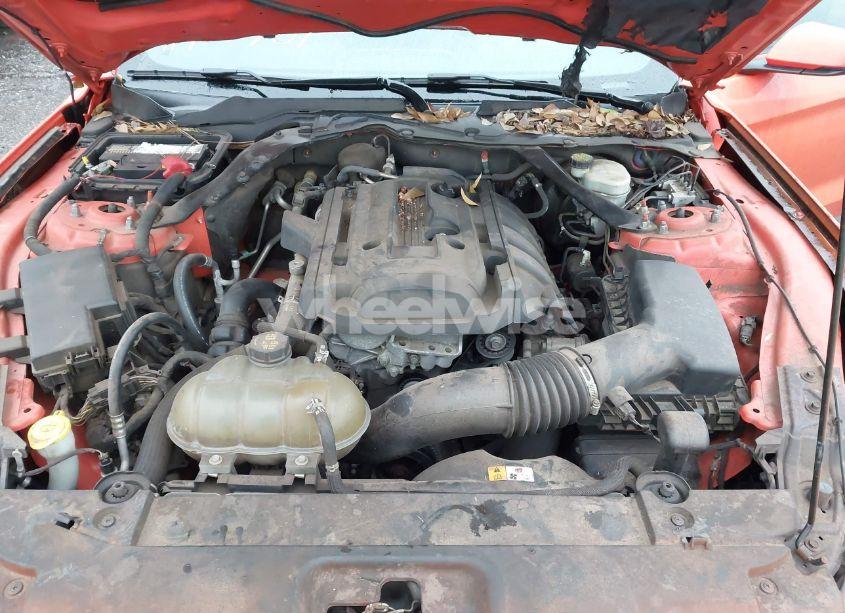 Photo 10 of 2015 Ford Mustang ECOBOOST PREMIUM (VIN 1FATP8UH5F5392644)