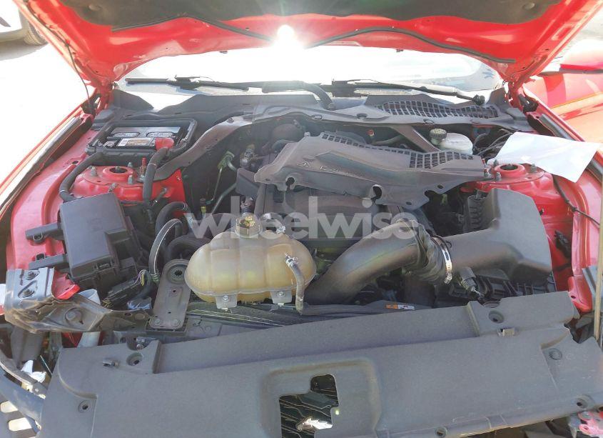 Photo 10 of 2017 Ford Mustang ECOBOOST PREMIUM (VIN 1FATP8UH5H5254430)