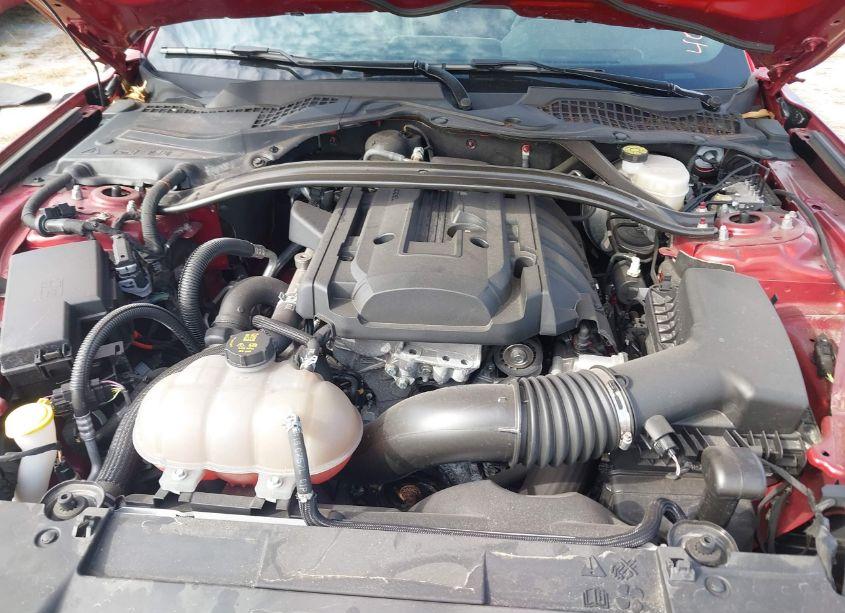 Photo 10 of 2019 Ford Mustang ECOBOOST PREMIUM (VIN 1FATP8UH5K5138085)