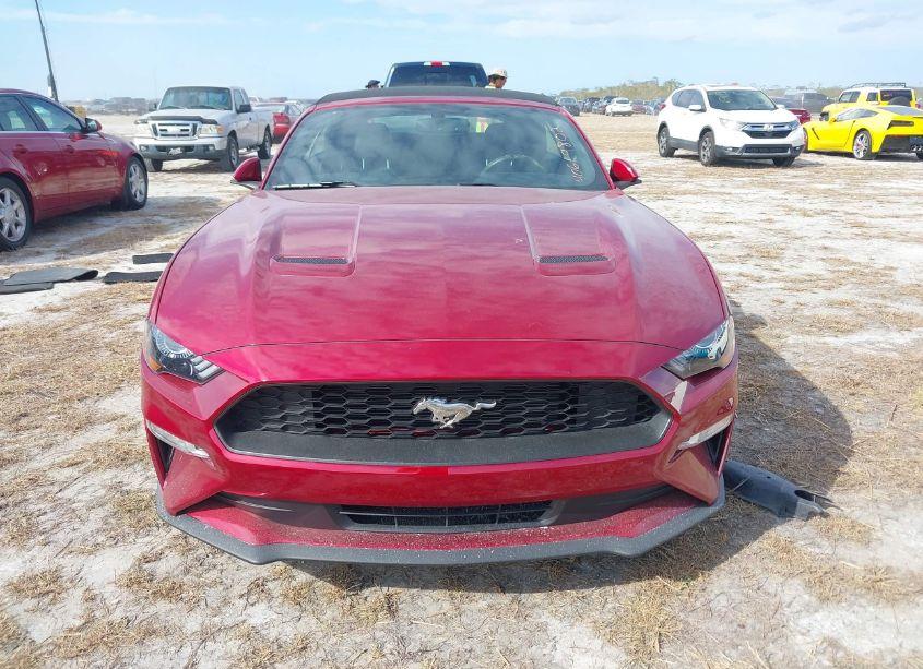 Photo 12 of 2019 Ford Mustang ECOBOOST PREMIUM (VIN 1FATP8UH5K5138085)