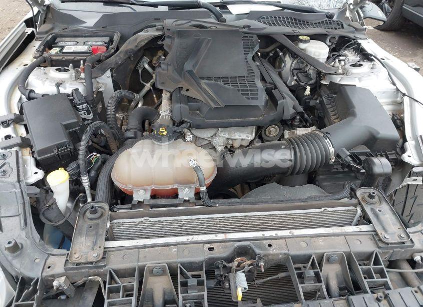 Photo 10 of 2019 Ford Mustang ECOBOOST PREMIUM (VIN 1FATP8UH5K5172348)