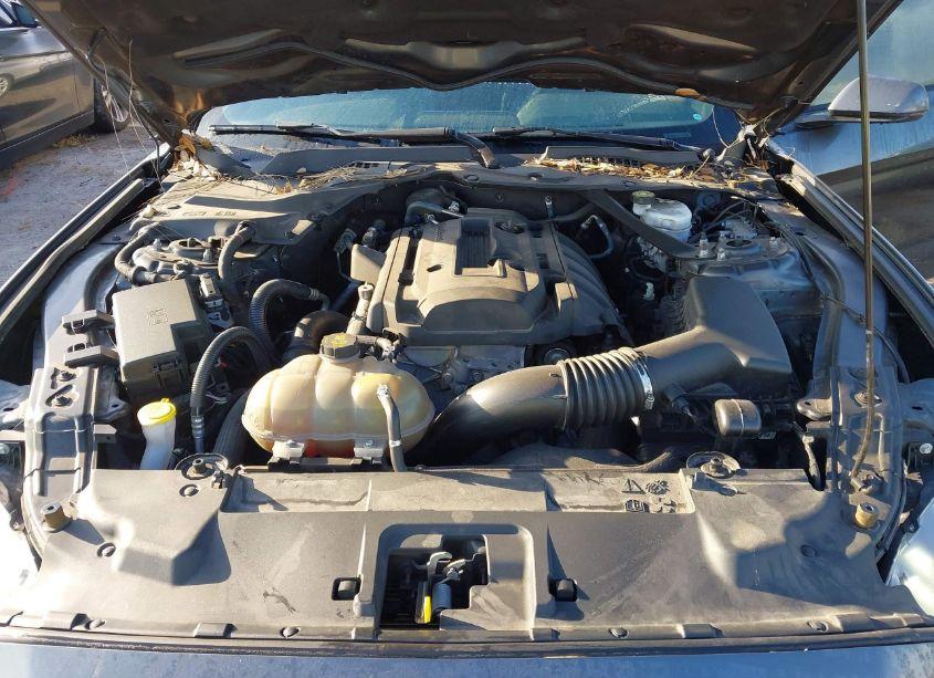 Photo 10 of 2019 Ford Mustang ECOBOOST PREMIUM (VIN 1FATP8UH5K5181664)