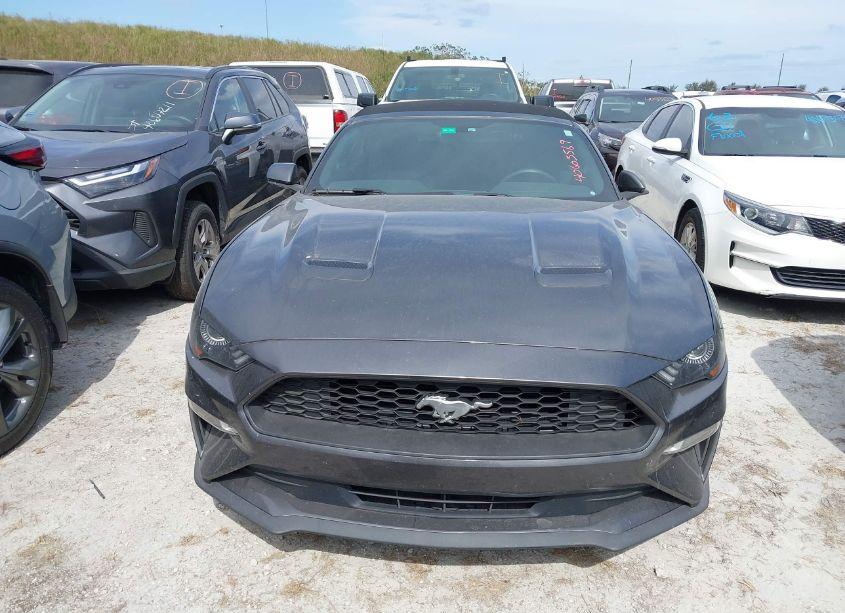 Photo 12 of 2019 Ford Mustang ECOBOOST PREMIUM (VIN 1FATP8UH5K5181664)