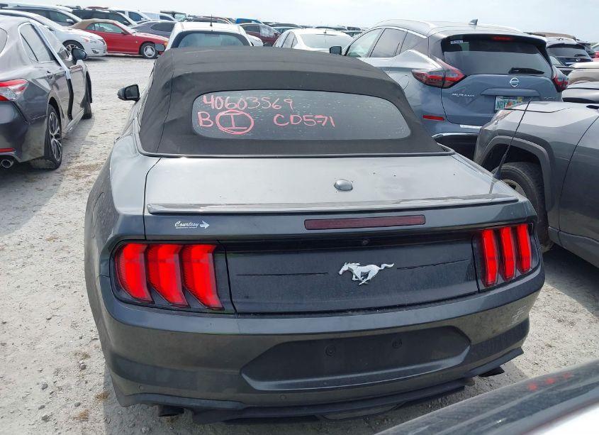 Photo 16 of 2019 Ford Mustang ECOBOOST PREMIUM (VIN 1FATP8UH5K5181664)