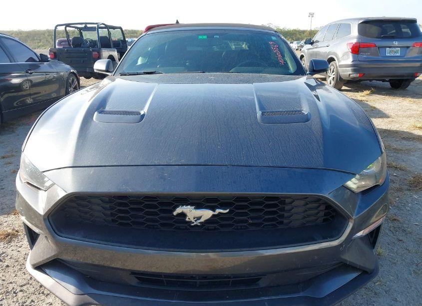 Photo 6 of 2019 Ford Mustang ECOBOOST PREMIUM (VIN 1FATP8UH5K5181664)