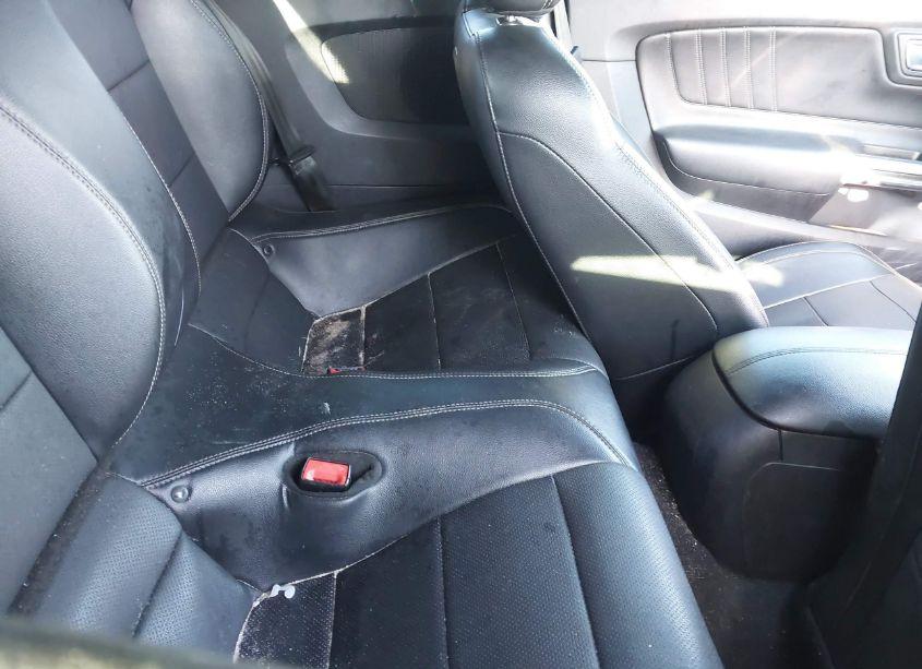 Photo 8 of 2019 Ford Mustang ECOBOOST PREMIUM (VIN 1FATP8UH5K5181664)