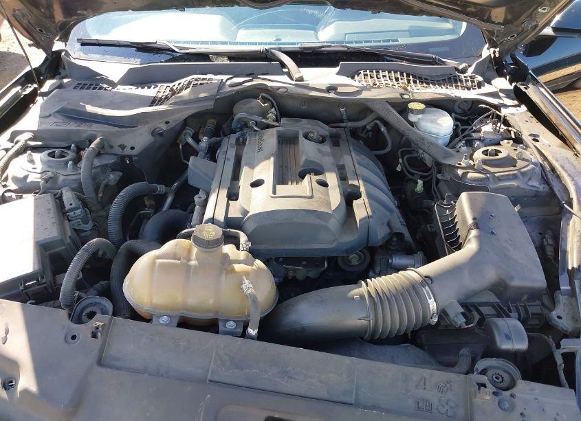 Photo 10 of 2019 Ford Mustang ECOBOOST (VIN 1FATP8UH5K5185925)