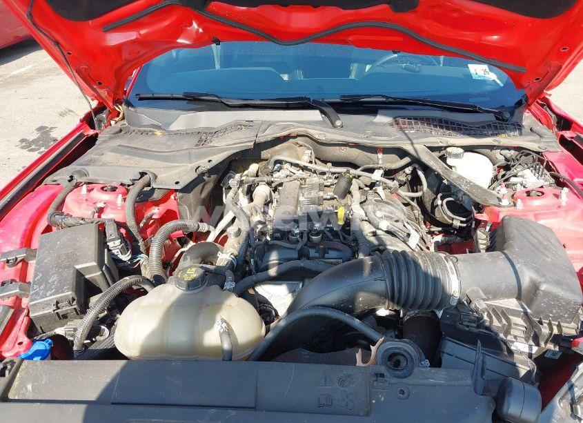 Photo 10 of 2021 Ford Mustang ECOBOOST PREMIUM (VIN 1FATP8UH5M5116008)
