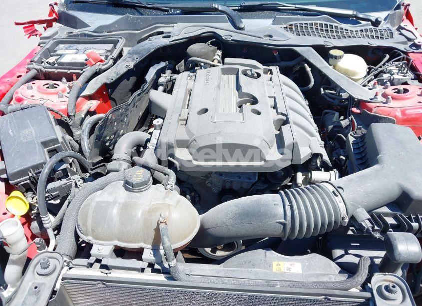 Photo 10 of 2016 Ford Mustang ECOBOOST PREMIUM (VIN 1FATP8UH6G5243113)