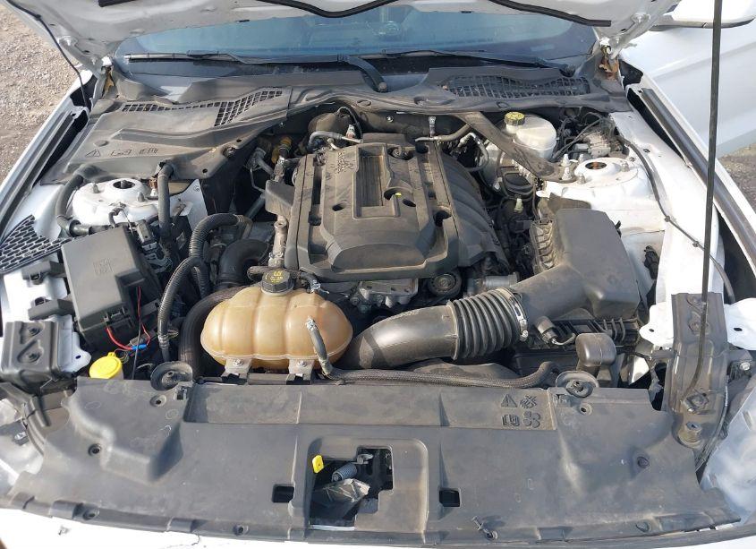 Photo 10 of 2019 Ford Mustang ECOBOOST (VIN 1FATP8UH6K5158913)