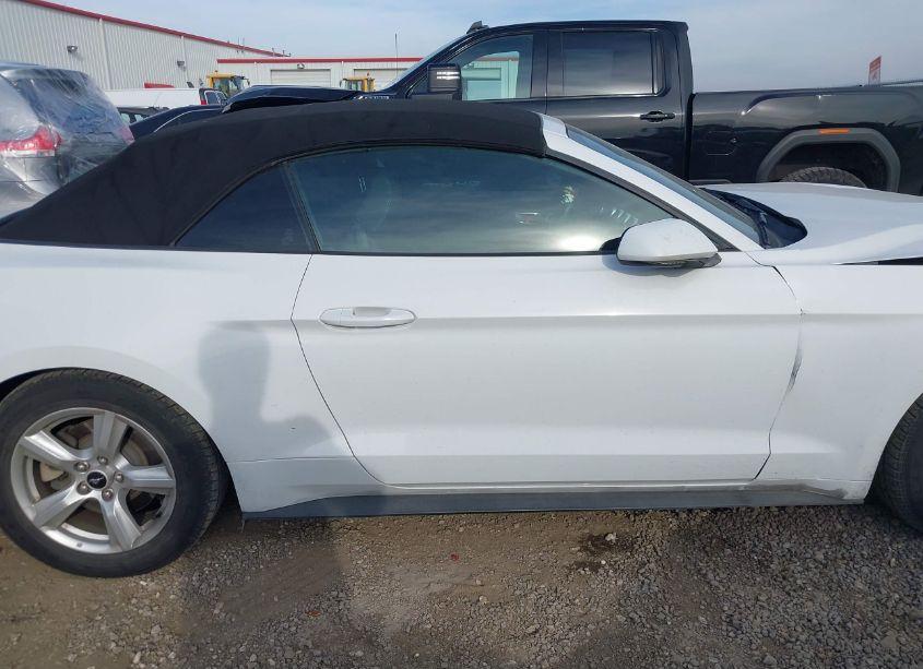 Photo 13 of 2019 Ford Mustang ECOBOOST (VIN 1FATP8UH6K5158913)