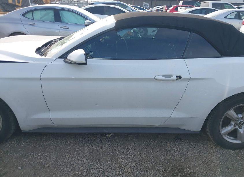 Photo 14 of 2019 Ford Mustang ECOBOOST (VIN 1FATP8UH6K5158913)