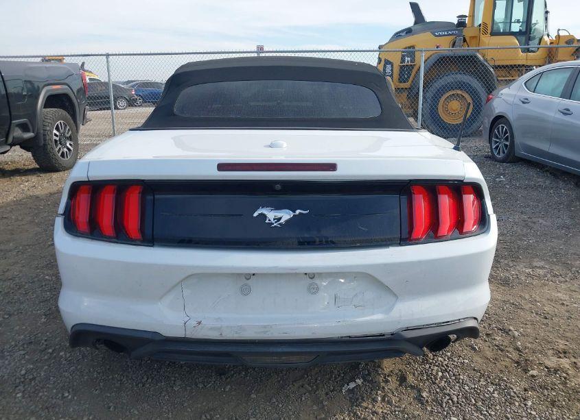 Photo 16 of 2019 Ford Mustang ECOBOOST (VIN 1FATP8UH6K5158913)