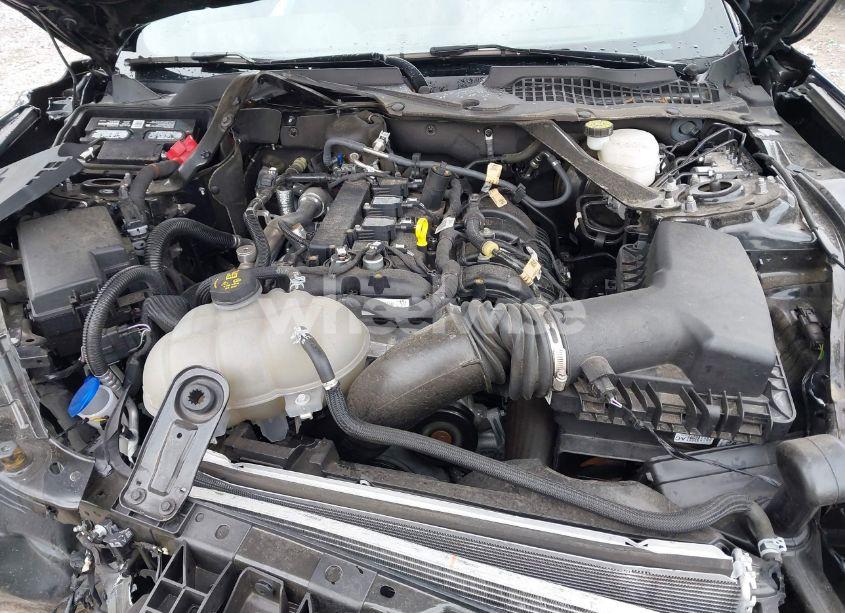 Photo 10 of 2021 Ford Mustang ECOBOOST (VIN 1FATP8UH6M5152841)