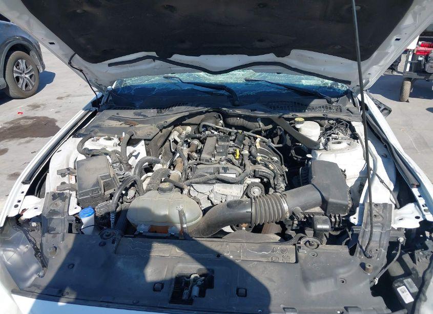 Photo 10 of 2022 Ford Mustang ECOBOOST PREMIUM (VIN 1FATP8UH6N5119081)