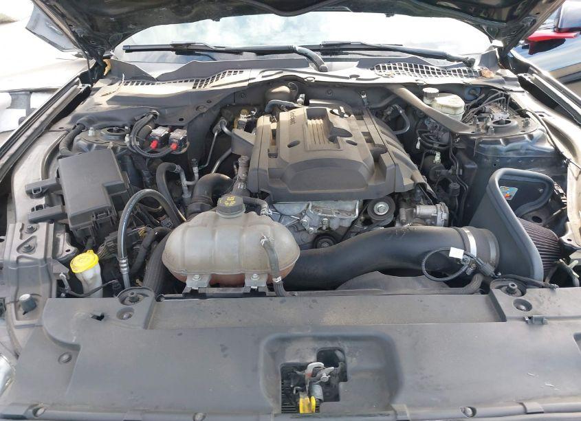 Photo 10 of 2015 Ford Mustang ECOBOOST PREMIUM (VIN 1FATP8UH7F5380978)