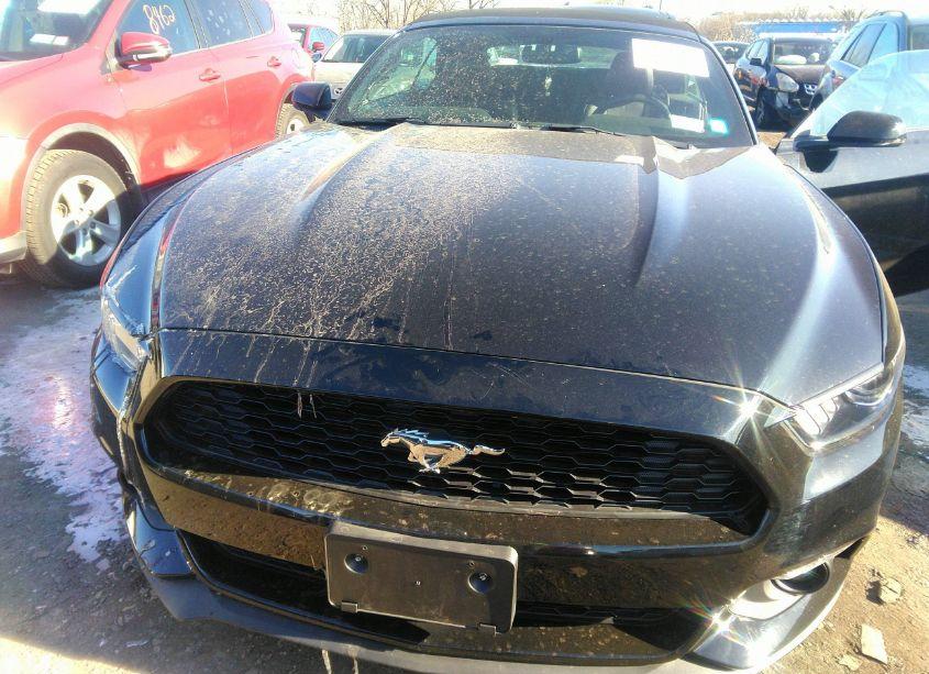 Photo 6 of 2015 Ford Mustang ECOBOOST PREMIUM (VIN 1FATP8UH7F5428933)
