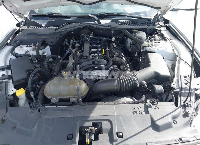 Photo 10 of 2018 Ford Mustang ECOBOOST PREMIUM (VIN 1FATP8UH7J5118080)