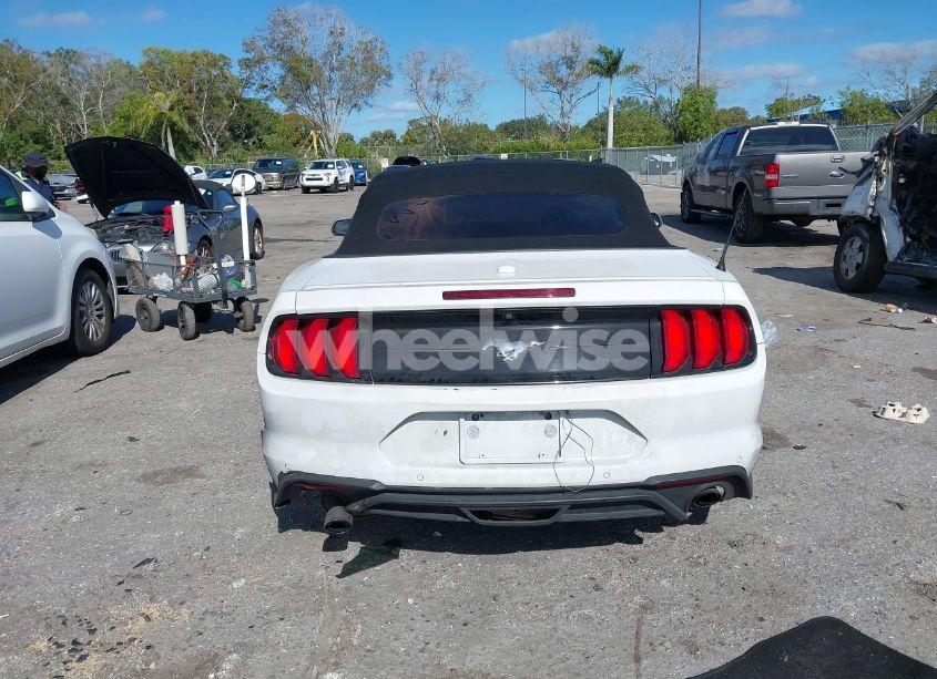 Photo 16 of 2021 Ford Mustang ECOBOOST PREMIUM (VIN 1FATP8UH7M5100201)