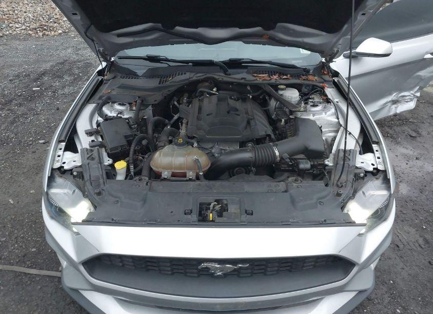 Photo 10 of 2019 Ford Mustang ECOBOOST PREMIUM (VIN 1FATP8UH8K5104478)