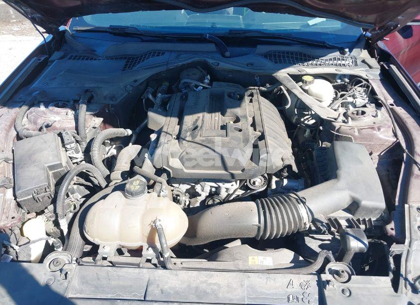 Photo 10 of 2018 Ford Mustang ECOBOOST PREMIUM (VIN 1FATP8UH9J5111468)