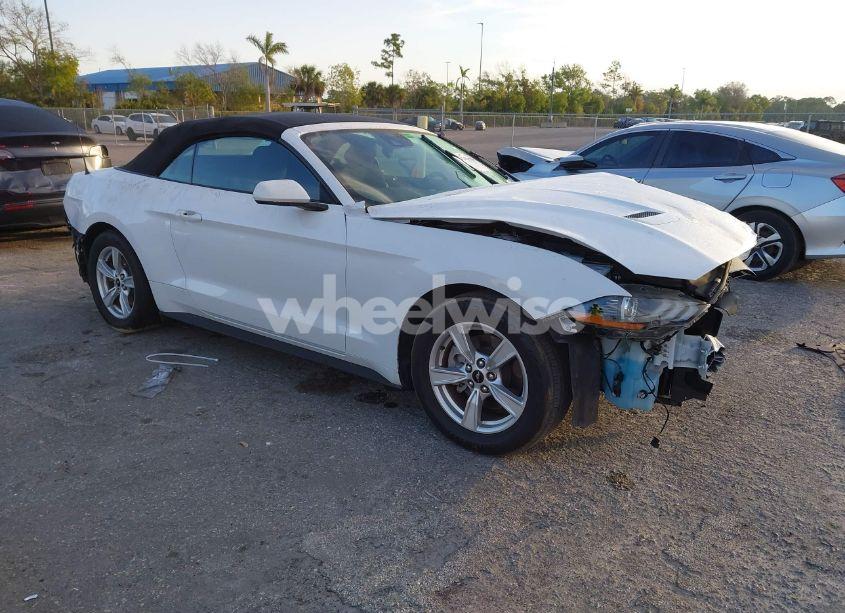 2021 Ford Mustang ECOBOOST (VIN 1FATP8UH9M5147083) main photo