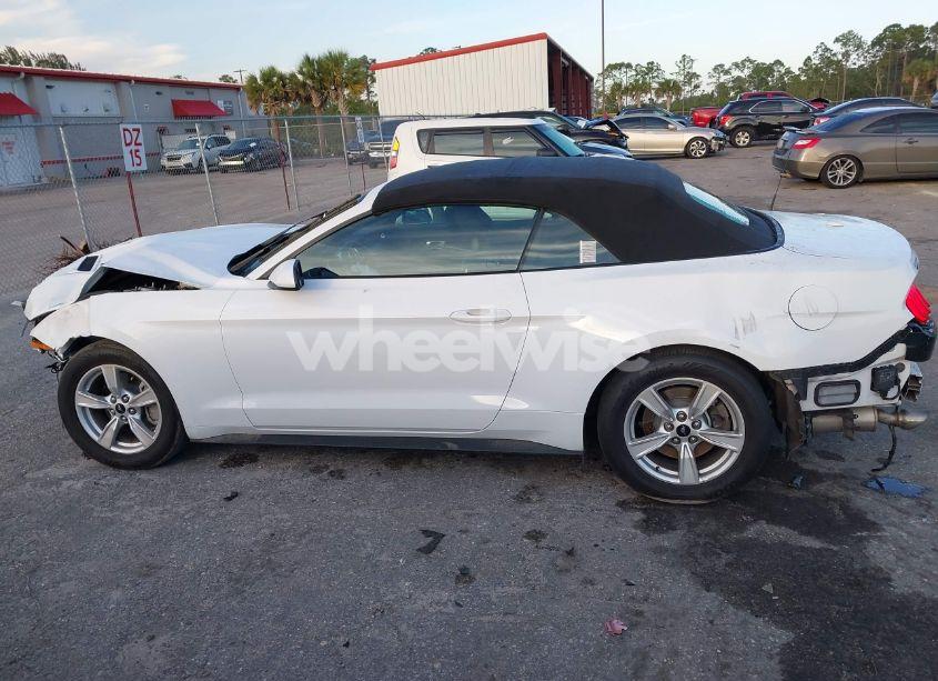 Photo 15 of 2021 Ford Mustang ECOBOOST (VIN 1FATP8UH9M5147083)