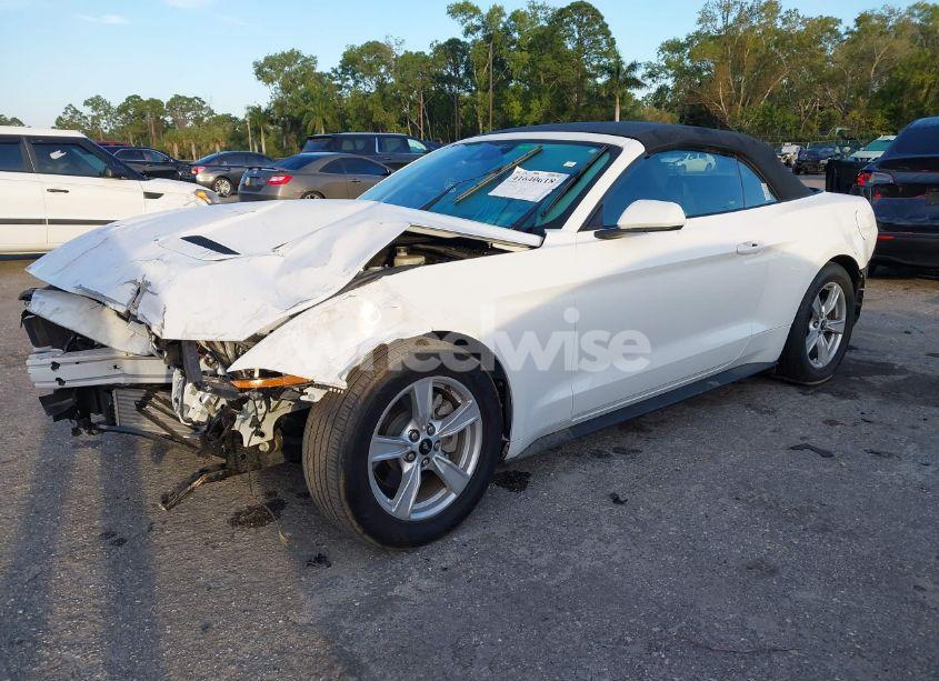 Photo 2 of 2021 Ford Mustang ECOBOOST (VIN 1FATP8UH9M5147083)