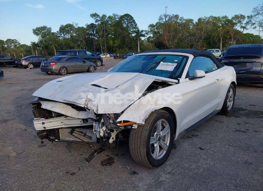 Photo 6 of 2021 Ford Mustang ECOBOOST (VIN 1FATP8UH9M5147083)