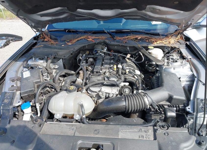 Photo 10 of 2022 Ford Mustang ECOBOOST PREMIUM (VIN 1FATP8UH9N5119060)