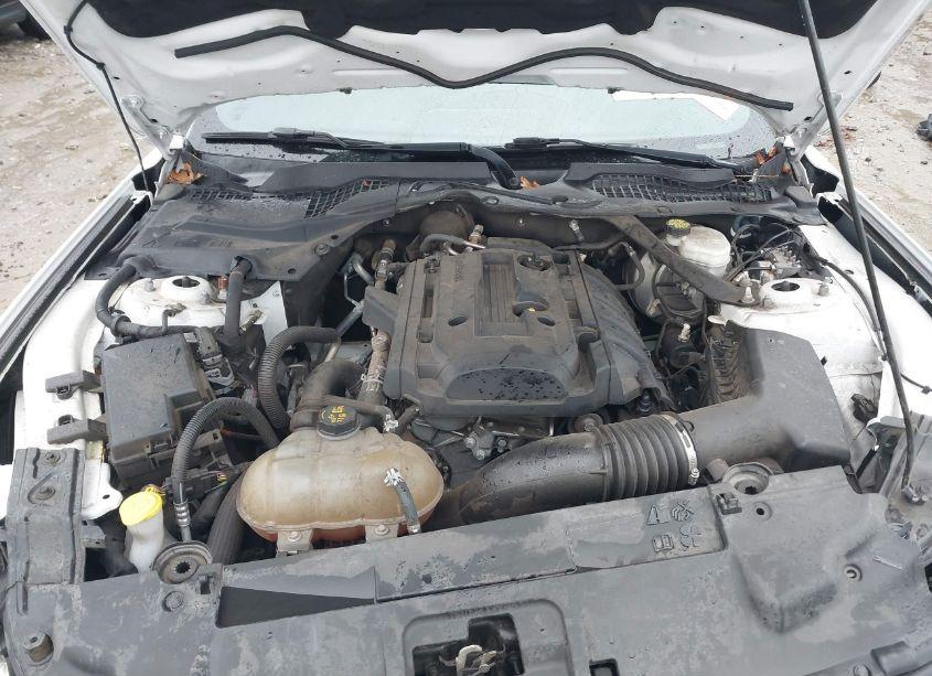 Photo 10 of 2018 Ford Mustang ECOBOOST PREMIUM (VIN 1FATP8UHXJ5132801)