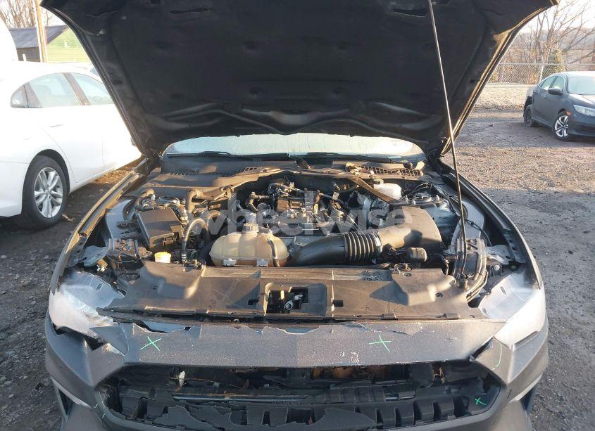 Photo 10 of 2019 Ford Mustang ECOBOOST PREMIUM (VIN 1FATP8UHXK5171390)