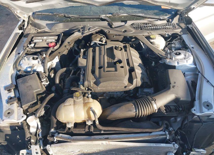 Photo 10 of 2019 Ford Mustang ECOBOOST PREMIUM (VIN 1FATP8UHXK5178677)