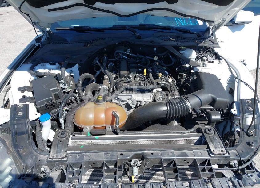 Photo 10 of 2019 Ford Mustang ECOBOOST (VIN 1FATP8UHXK5205196)