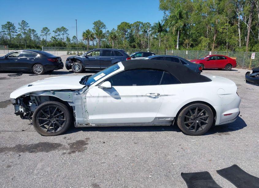 Photo 14 of 2019 Ford Mustang ECOBOOST (VIN 1FATP8UHXK5205196)