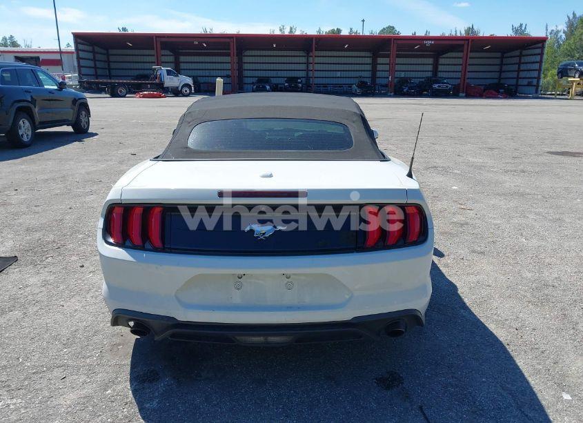 Photo 16 of 2019 Ford Mustang ECOBOOST (VIN 1FATP8UHXK5205196)
