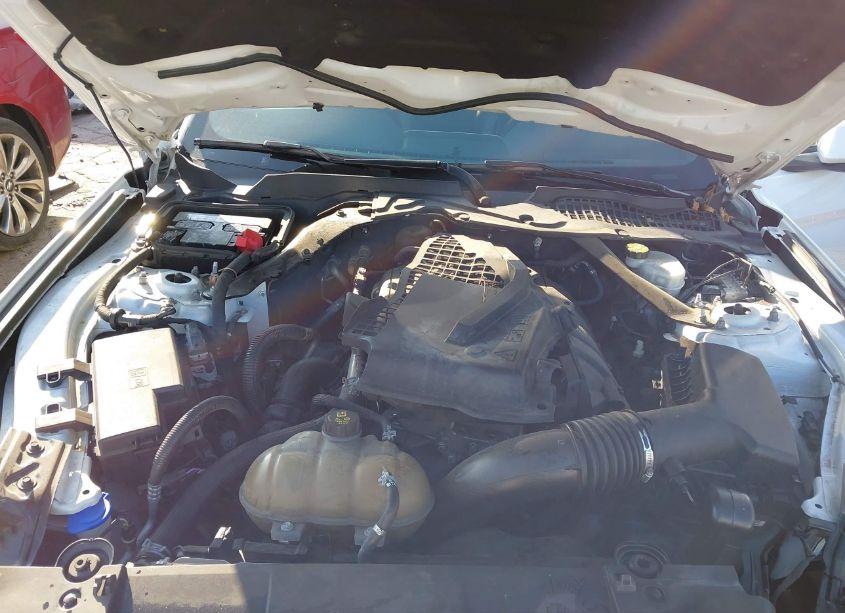 Photo 10 of 2020 Ford Mustang ECOBOOST PREMIUM (VIN 1FATP8UHXL5112583)