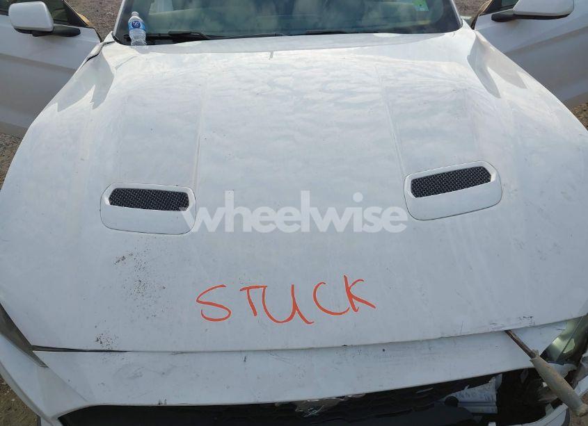 Photo 10 of 2021 Ford Mustang ECOBOOST PREMIUM (VIN 1FATP8UHXM5124332)