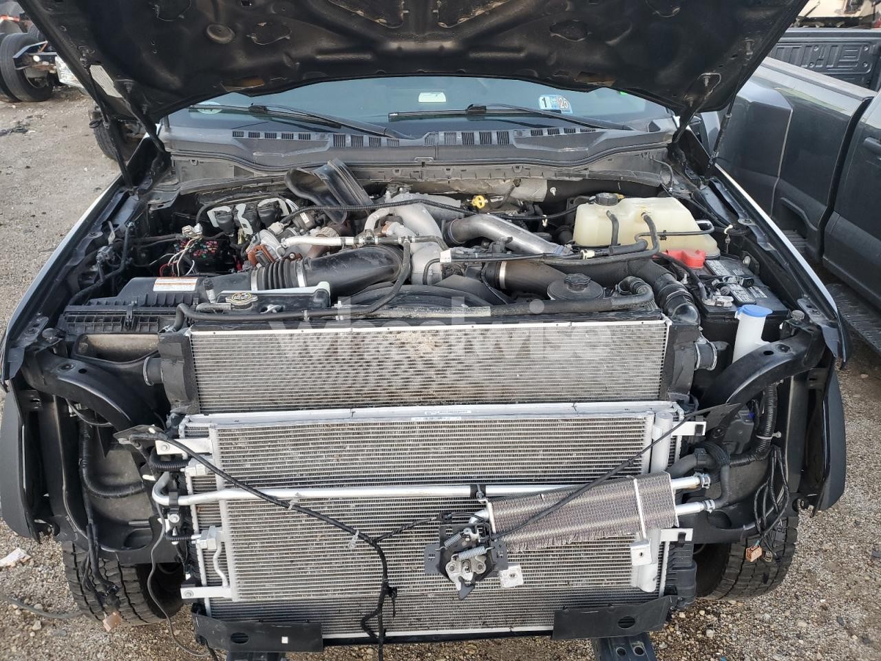 Photo 12 of 2022 FORD F550 SUPER DUTY TRUCK CAB AND CHASSIS (VIN 1FD0W5HT1NEC72511)