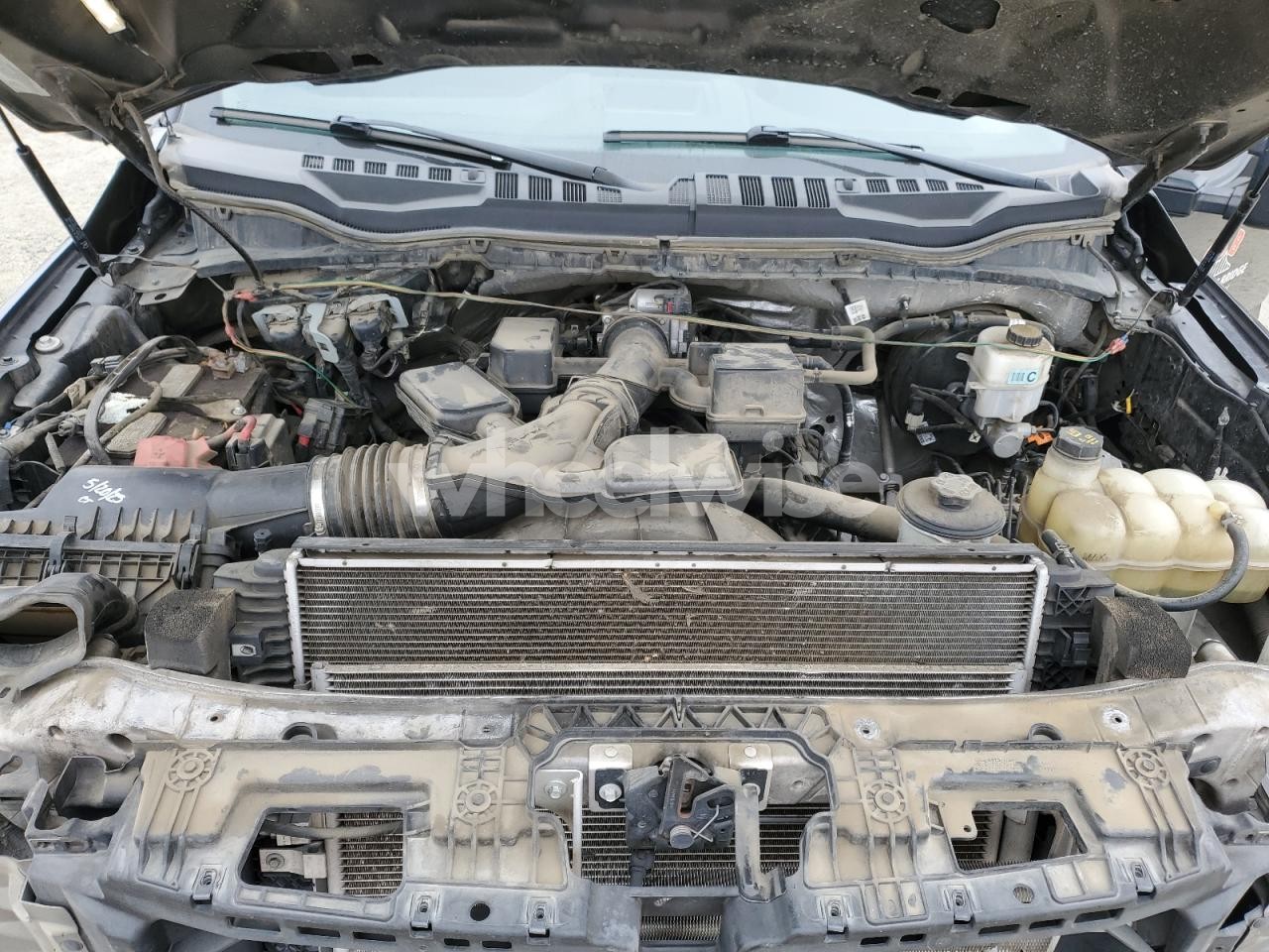 Photo 11 of 2021 FORD F350 SUPER DUTY (VIN 1FD8X3E63MED01993)