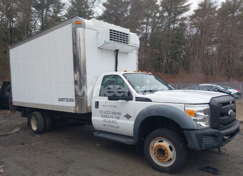 2011 Ford F-550 CHASSIS XL (VIN 1FDUF5GTXBEC23886) main photo