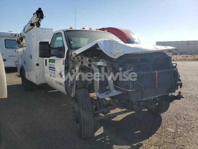 2014 FORD F550 SUPER DUTY (VIN 1FDUF5GTXEEA17407) main photo