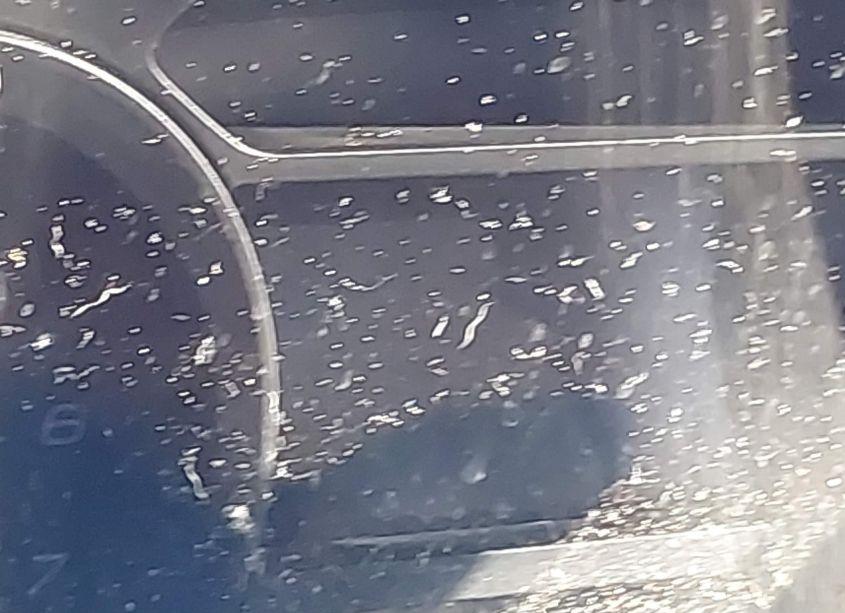 Photo 14 of 2013 Ford Police INTERCEPTOR (VIN 1FM5K7AR8DGA64270)