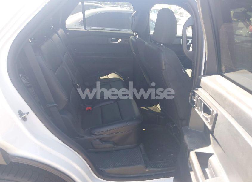 Photo 8 of 2021 Ford Police INTERCEPTOR (VIN 1FM5K8AC7MGC20798)