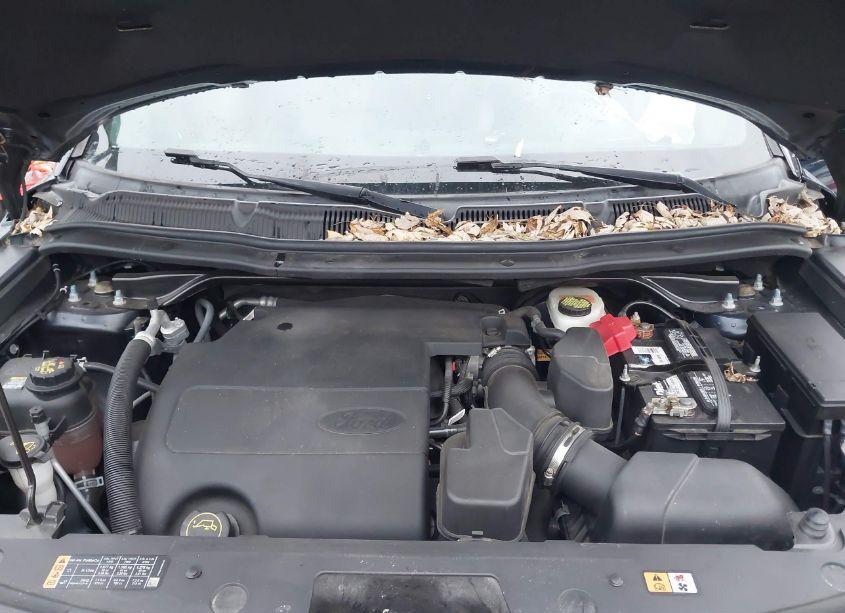 Photo 10 of 2017 Ford Explorer XLT (VIN 1FM5K8D86HGA72799)