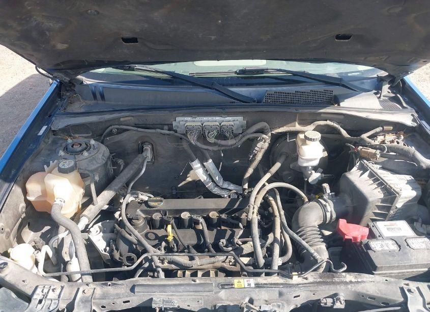 Photo 10 of 2009 Ford Escape (VIN 1FMCU02729KA19349)