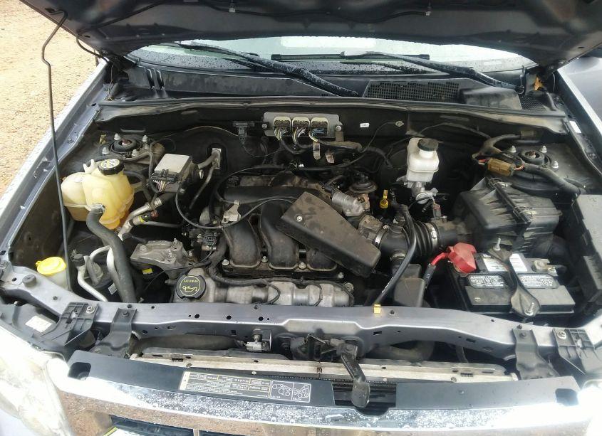 Photo 10 of 2008 Ford Escape XLT (VIN 1FMCU03118KE61256)