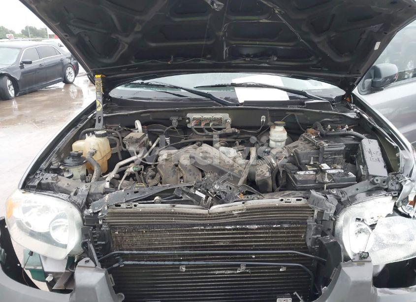 Photo 10 of 2007 Ford Escape XLT/XLT SPORT (VIN 1FMCU03127KA07144)